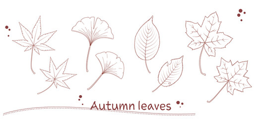 Illustration of various fallen leaves in pen drawing style
