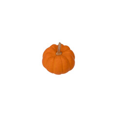 pumpkin vegetables isolate on white background