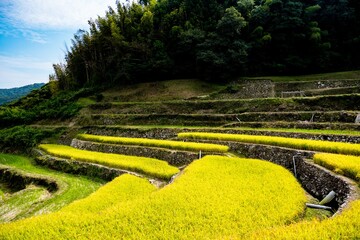 密乗院