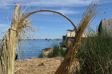 corn on the beach in summer