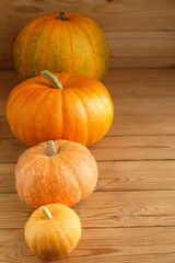 Pumpkins. Autumn harvest. Halloween symbol.