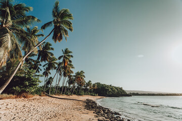 Paradise beach with white sand, rocks, palm trees and blue water of Atlantic Ocean, Las Terrenas, Samana, Dominican Republic