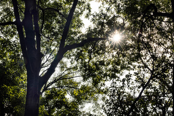 Parque México