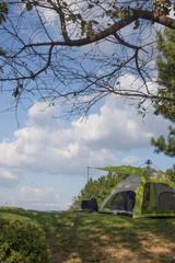 Tents Camping area, beautiful natural place with green grass.