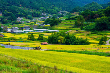 稲渕の棚田と明日香村の風景・奈良県