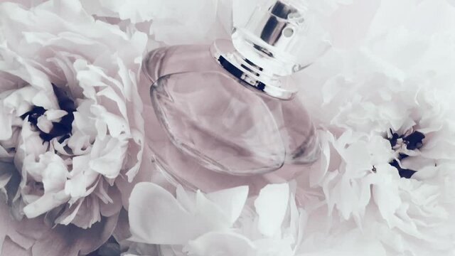 White perfume bottle with peony flowers, chic fragrance scent as luxury cosmetic, fashion and beauty product background, stock footage
