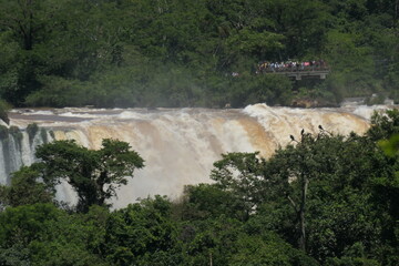 falls from the river