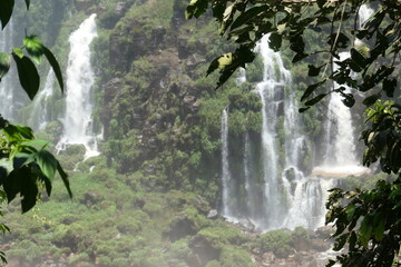 waterfall in the forest
