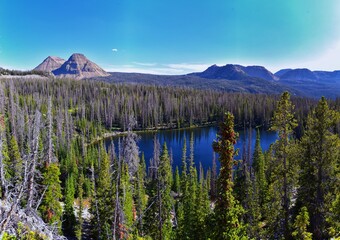 Lake Cuberant hiking trail views of ponds, forest and meadows with Bald Mountain Mount Marsell in Uinta Mountains from Pass Lake Trailhead, Utah, United States.