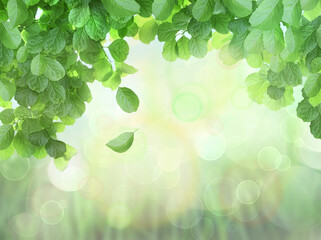 Spring Background With Leaves and brokeh effect
