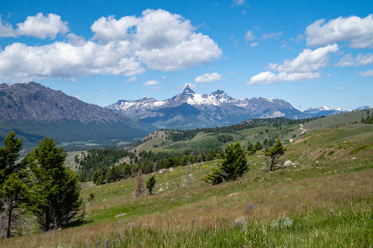 Beautiful meadow along the Beartooth Highway, lookout out at the Absaroka range
