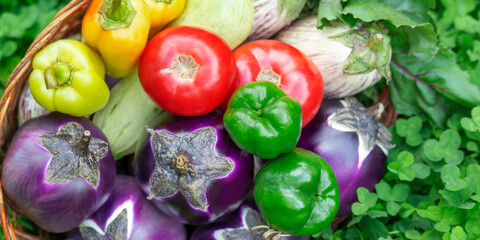Close-up of various colorful raw seasonal vegetables
