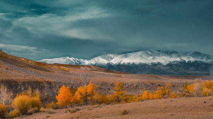 golden autumn in the moiuntains