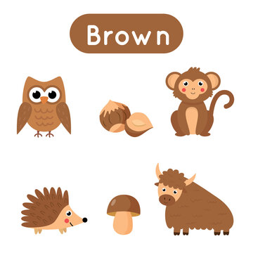 Flash cards with objects in brown color. Educational printable worksheet.