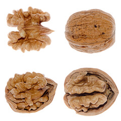 Walnuts in closeup 