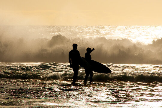 Silhouette of Surfers in Ocean