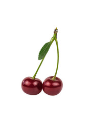 Two ripe cherries with a stem isolated on a white background.