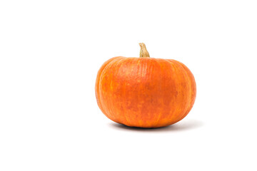 Large pumpkin with a stalk isolated on a white background.