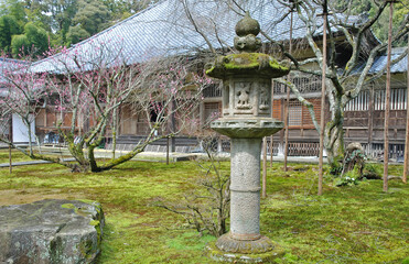 越前三国・瀧谷寺　本堂と前庭