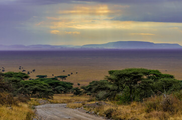 Sun Rays break through clouds in a sky over the Serengeti