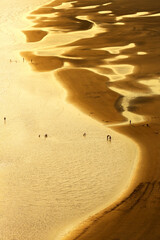 Holiday for the friends and family happy with golden light on the sand beach