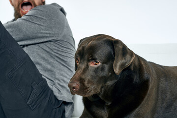 Happy man and dog on the couch In a bright room pet is a friend of man