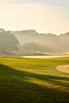Vertical image of sunrise over a golf course with dew on the grass and sunrays through the trees