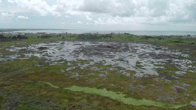 The Pitch Lake in La Brea Trinidad, Largest Natural Deposit Of Asphalt in the world