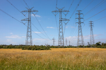 Powerlines in a field in Melbourne, Australia