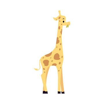 Cute african giraffe cartoon icon, flat vector illustration isolated on white.