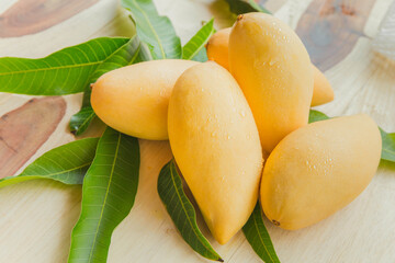 Sweet mango yellow fruits on the table