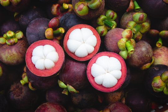 Fresh ripe mangosteen fruits and cross section showing the thick purple skin and white flesh.