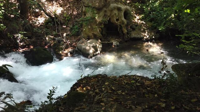 Strong flow of fresh water at the Banias river, at the Golan heights, Israel. Slow motion shot.