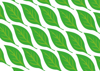 Fototapeta premium seamless background with leaves