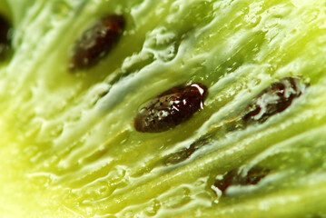  kiwi © Yay Images