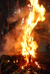 fire was burning in the dark