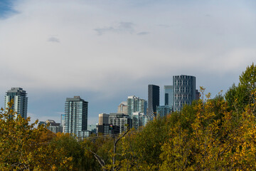 Obraz premium Downtown city skyline with fall trees in foreground