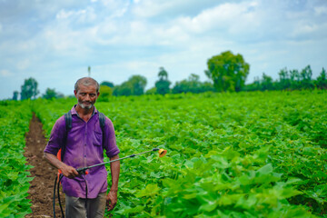 indian farmer spraying pesticide at cotton field
