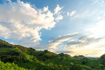 Sunrise on the Prosecco hills