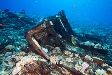A peice of ship wreck overgrown with coral