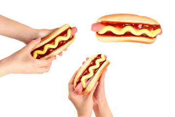 Hot dog in woman hand isolated on white background. Copy space.
