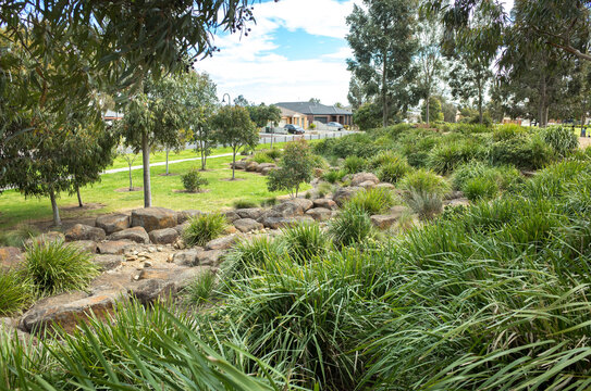 View Of A Landscaped Suburban Park With Footpath, Rocks, Eucalyptus Gum Trees, And Some Australian Native Plants In A Residential Neighborhood. Melbourne, VIC Australia.