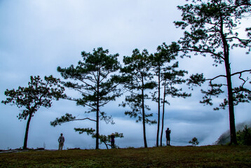 Obraz premium tree on the hill with people