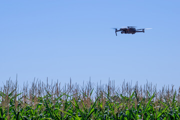 Drone and Agriculture Industry
