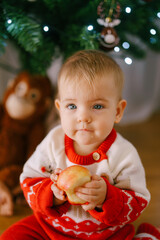 Cute toddler in a knitted Christmas costume is holding an apple in front of a Christmas tree
