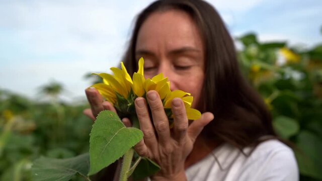 happy middle-aged woman is sniffing and stroking sunflower in field, unity of human with nature