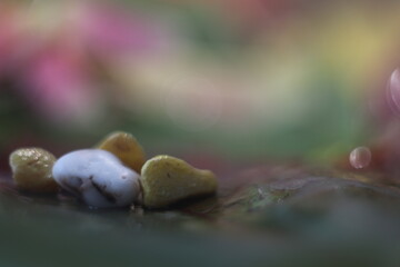 Close-up shot of stones on blurred bright background