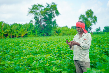 young indian farmer at cotton field , India