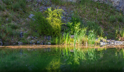 lake with green algae water between the walls of the mountain
