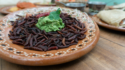 Typical traditional Mexican dish, maguey red worm, roasted chinicuil with guacamole